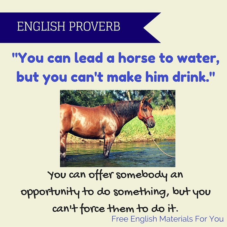 english-proverb-31-08.jpg