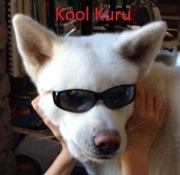 kool kuru.jpg