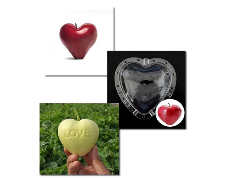 heart shaped apple.jpg