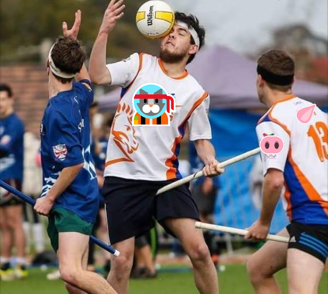 Le me getting facepalmed by a ball in a Quidditch game.png