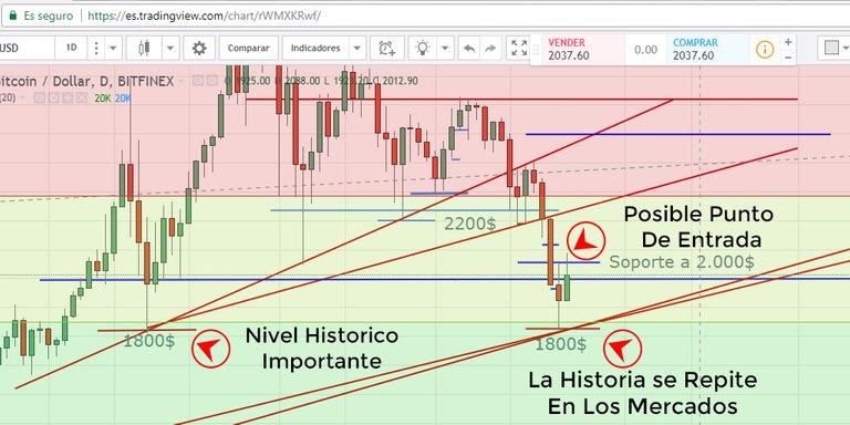 lamina-1-steemit.jpg