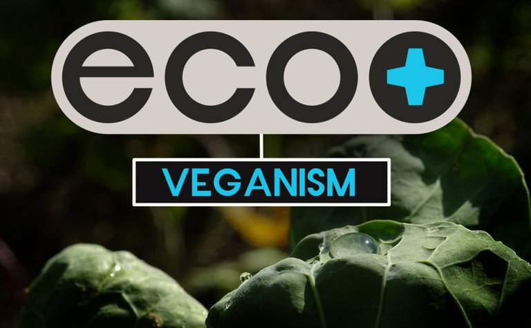 ecoplus-vege.jpg