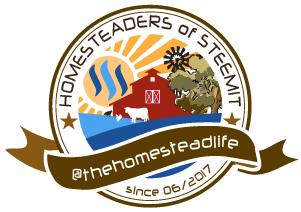 steemit-homesteaders-thehomesteadlife-small.png