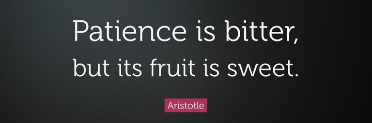 Patience-Aristotle.jpg