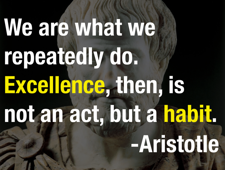 Aristotle - excellence is a habit.png