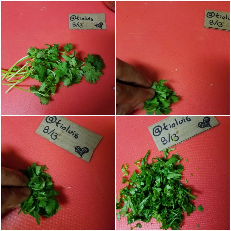 cilantro collage.jpg