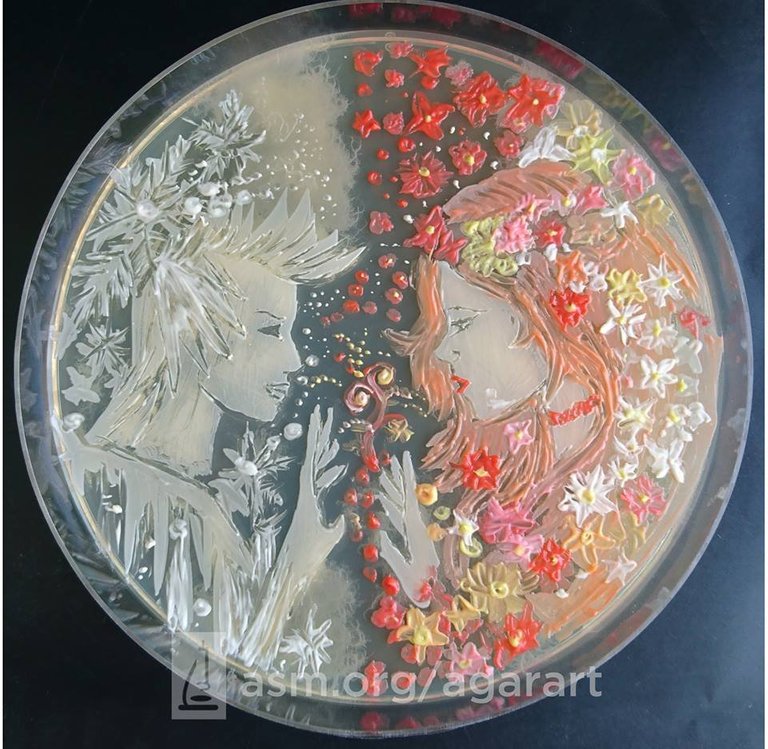 Art in petri dish.jpg