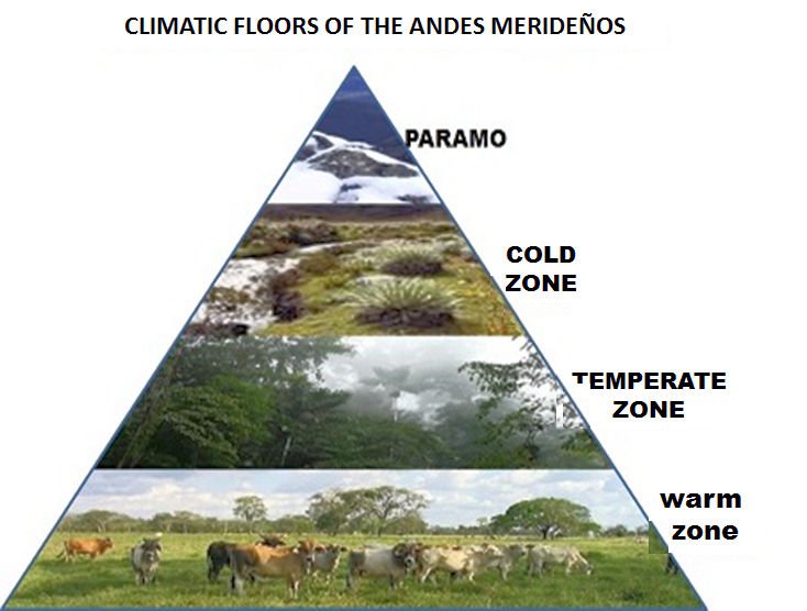 pisos climaticos 2.jpg