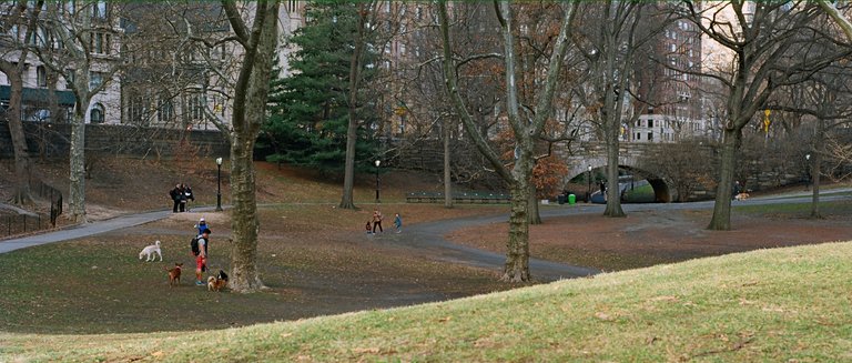 Central Park Lighting.jpg