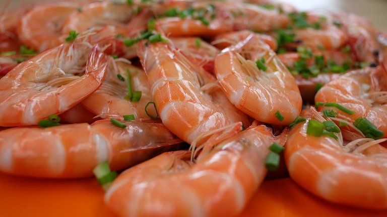 prawns-2348933_960_720.jpg