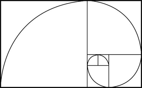 fibonacci-396496.jpg