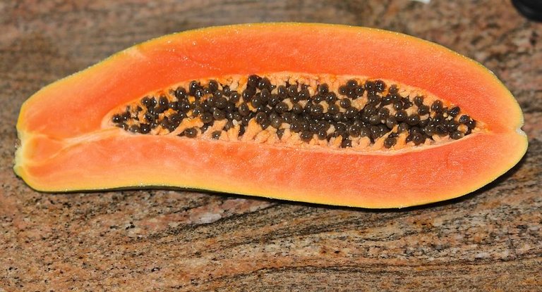 papaya-74585__480.jpg