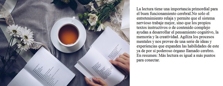 Lectura.jpg