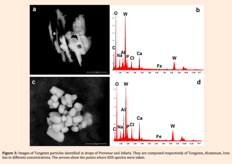 picturecontaminatedvaxx-3.png