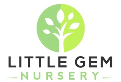 Blog-Little-Gem-Logo.jpg