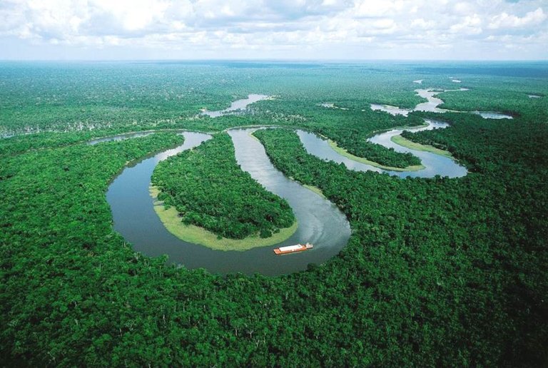amazon-river-aerial.jpg