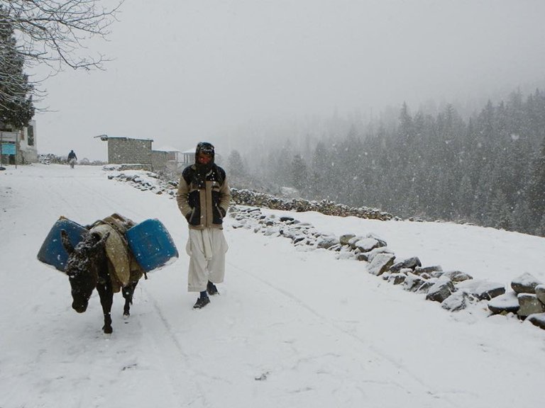 Naran Kaghan Valley (4).jpg