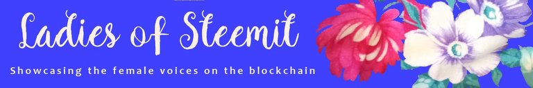 Ladies of Steemit Blue Banner.jpeg