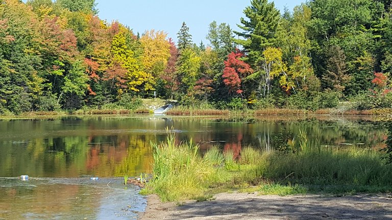 Serenity Vallet Farms Fall Colors 2.jpg