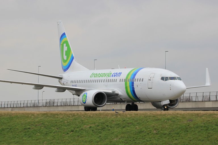 PH-XRZ Transavia -B737 WL.JPG