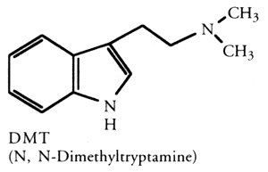 dmt2.jpg