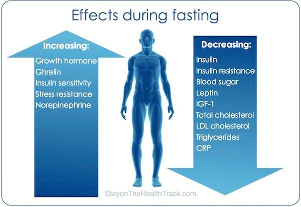 EffectsDuringFasting.jpg