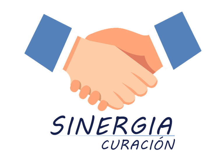 Sinergia Logo.png