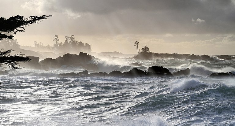 Storm-Watching-Image-Wild-Pacific-Trail-Storm-Watching-Ucluelet-British-Columbia-Barbara-Schramm-min.jpg