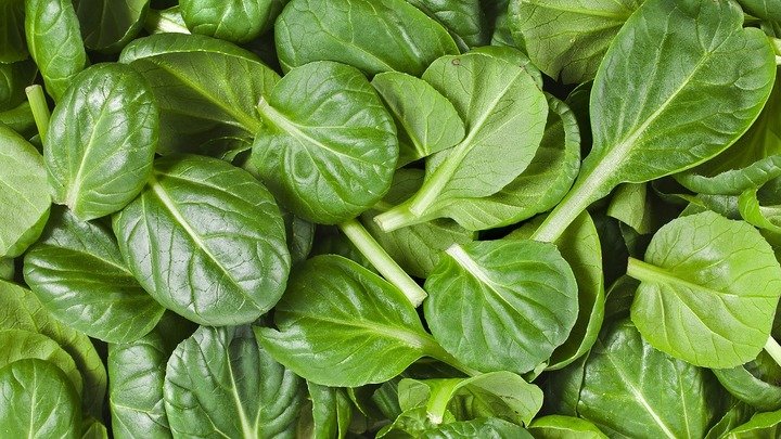 spinach-leaves_1_720x405.jpg