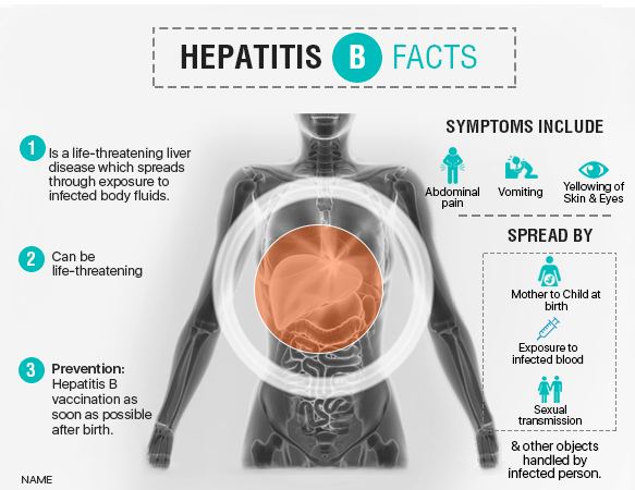 hepatitisB-1.png