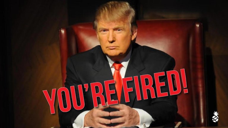 you are fired.jpg