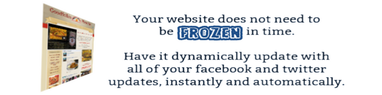 dynamicwebsite.png