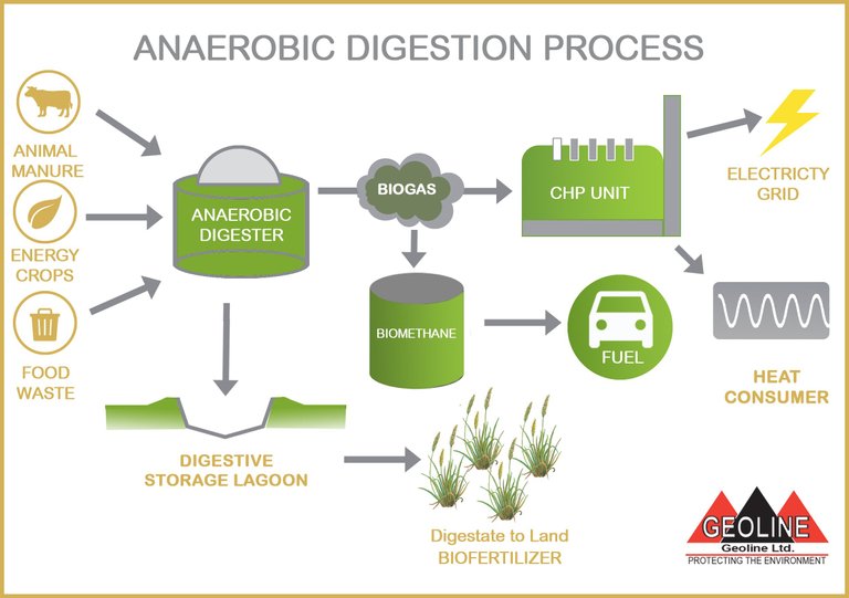 anarobic digester.jpg