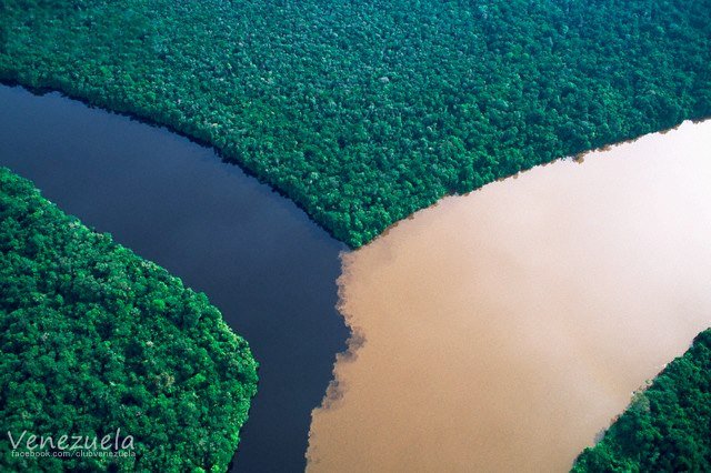 Confluencia del Rio Orinoco y Caroni.jpg