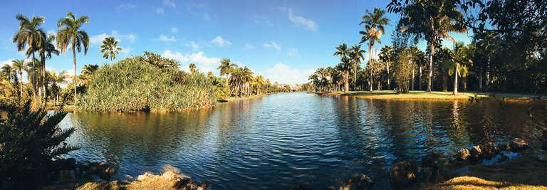 Fairchild Botanic Garden-56.jpg