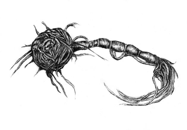 neuro knot-3-72 f steemit.jpg
