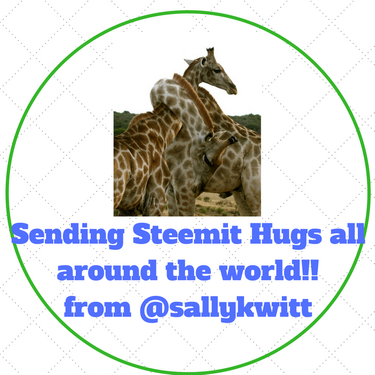 Copy of Steemit Hugs all around the world--from @sallykwitt.png