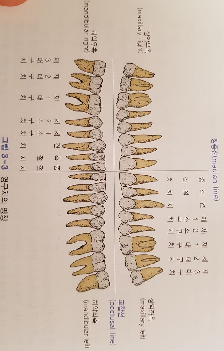 20180214_181726.jpg