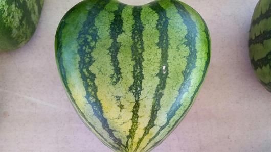 heartshapedwatermelon.jpg