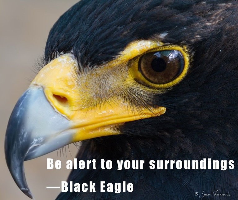 Inspirational Messages from the Black Eagle.jpg