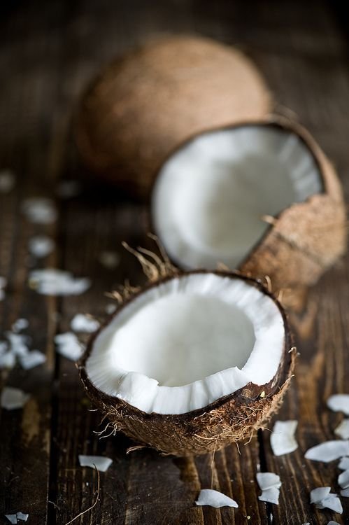 coconut 1.jpg