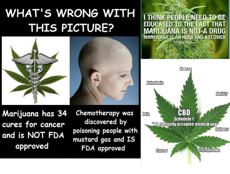wow-cannabis.jpeg