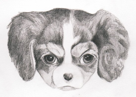 learn-to-draw-a-puppy-with-thaneeya.jpg