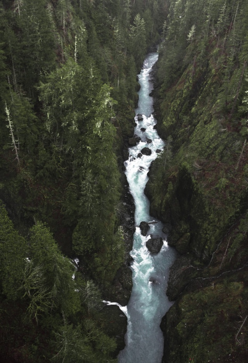 Shelton, Washington by Chris Grant.jpg