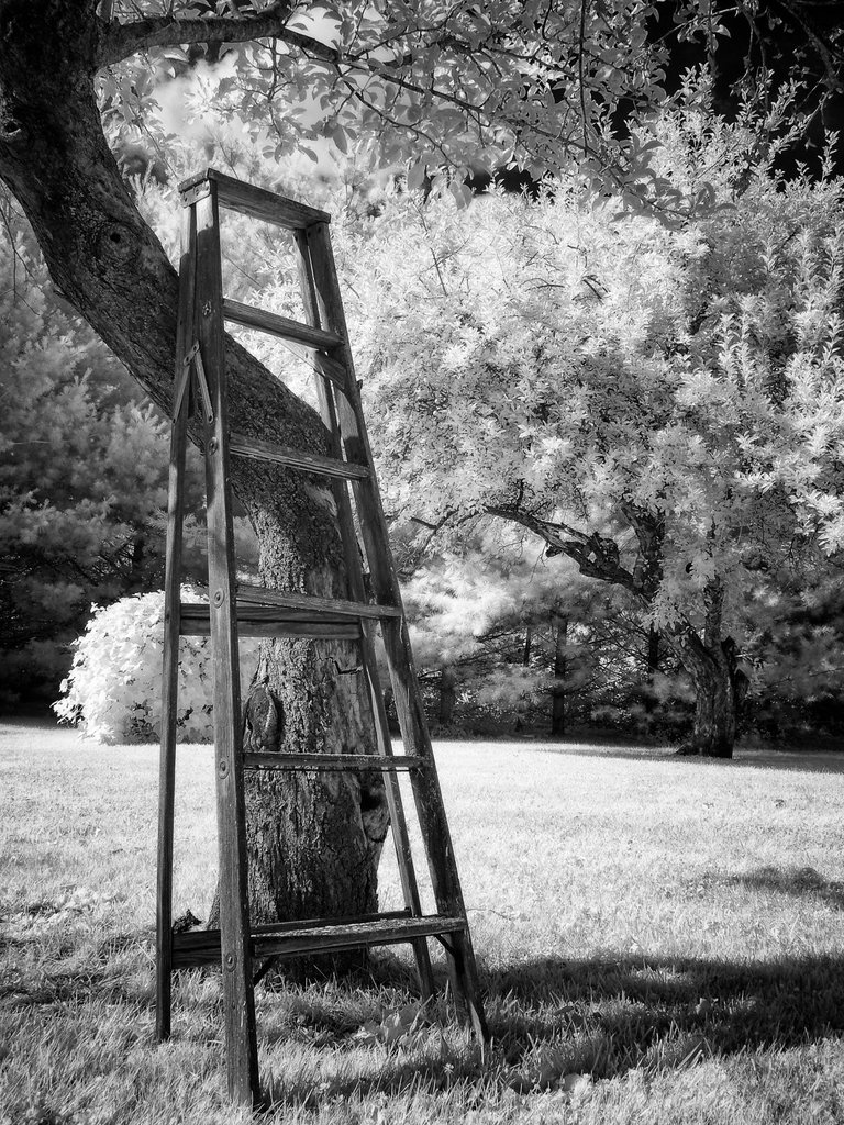 ladder siler efex 1.jpg