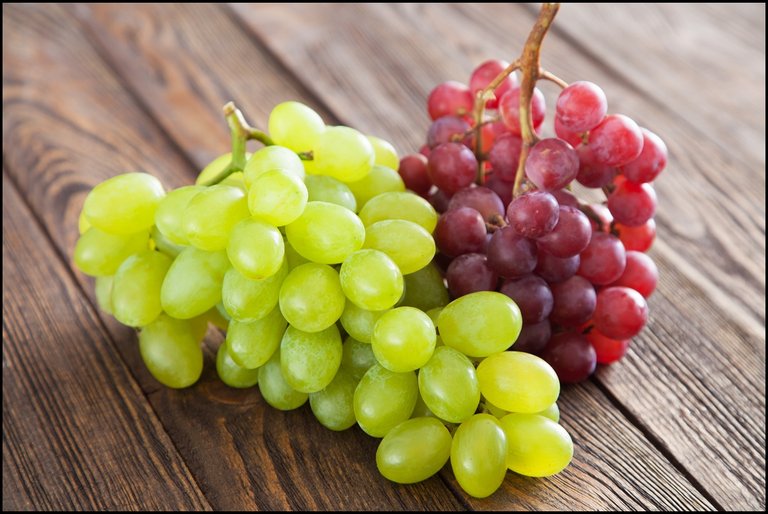 Grapes 1.jpg