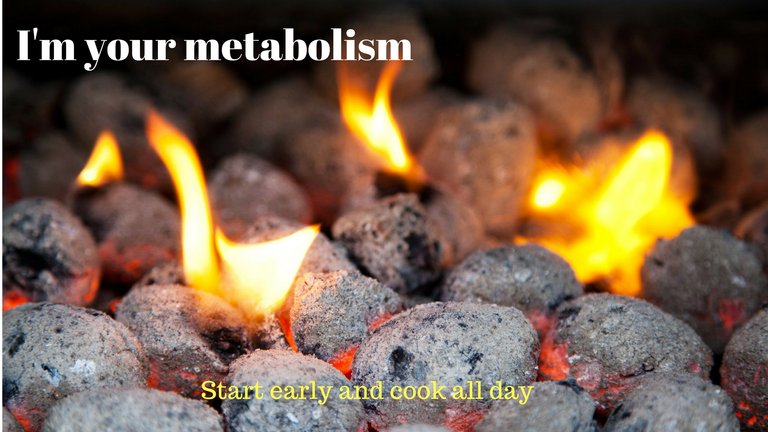 I'm your metabolism.jpg