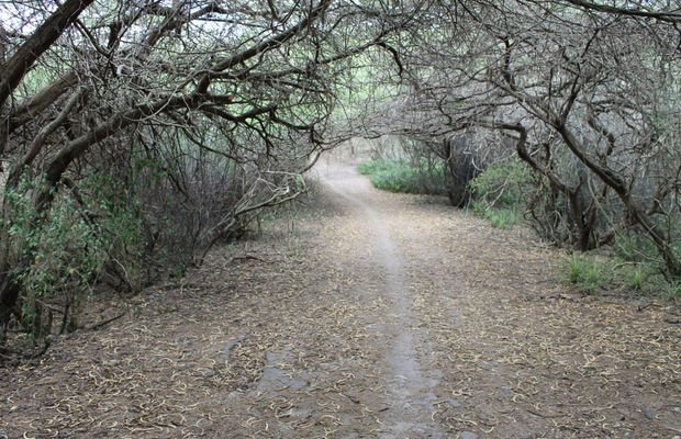 reserva-biologica-montecano.jpg