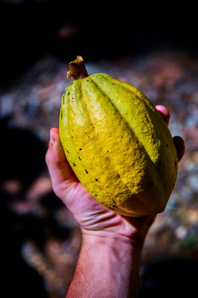 Costa Rica Caribean.jpg