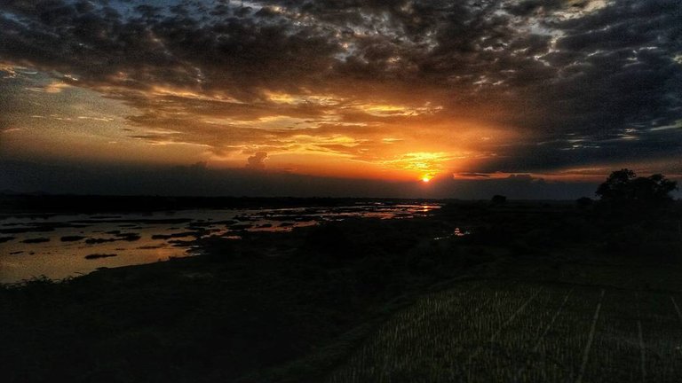 sunset river amol 2.jpg